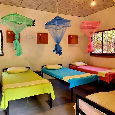 Helena Hostel ディックウェラ エクステリア 写真
